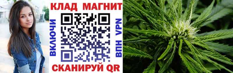 Галлюциногенные грибы Владивосток