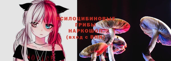 меф Белокуриха