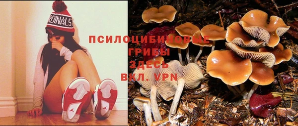 меф Белокуриха